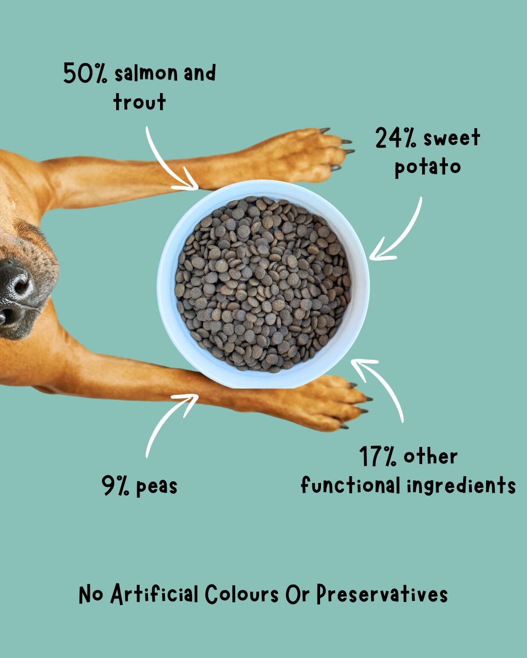 Fish Medley Small Breed