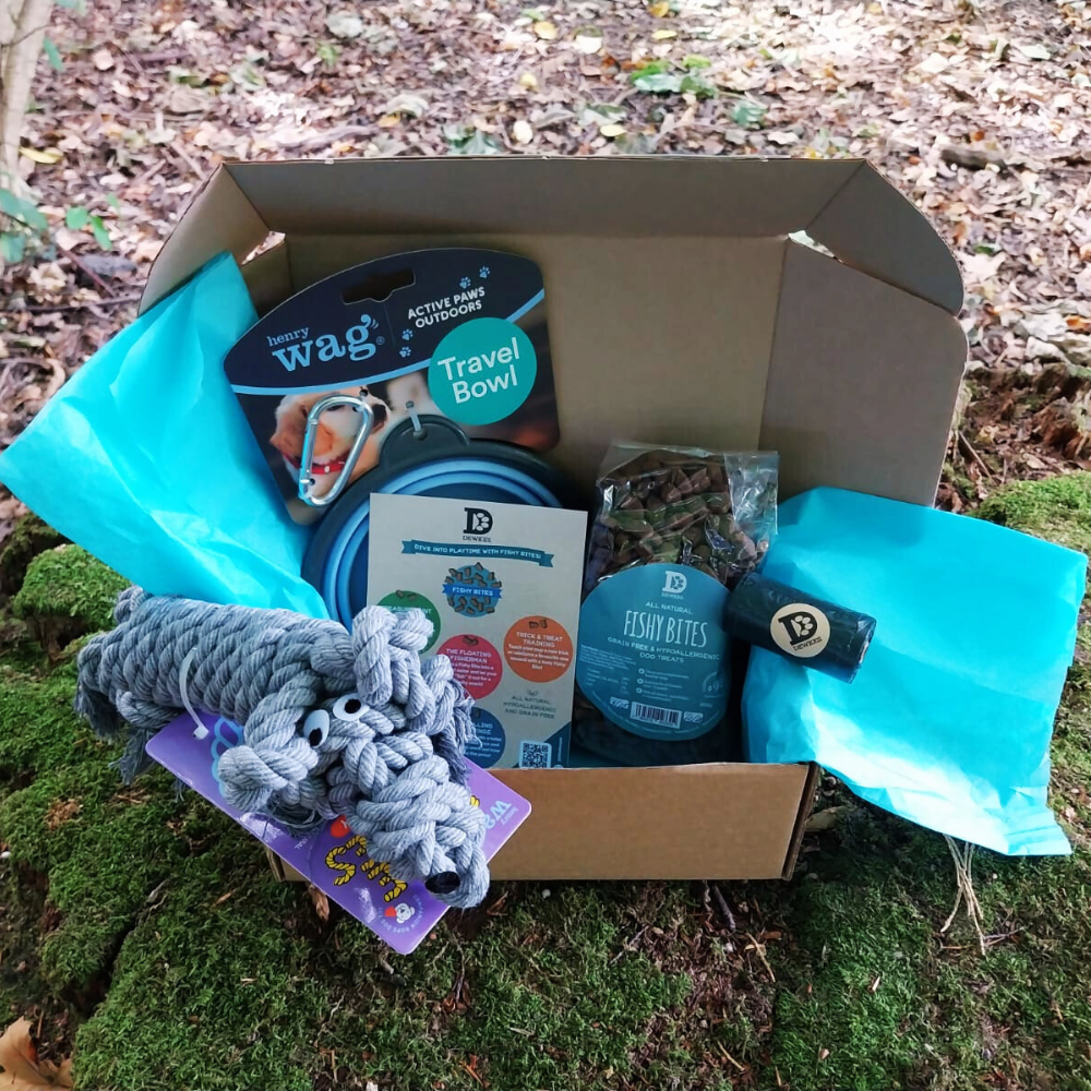 Dewkes and Henry Wag Adventure Treat Box
