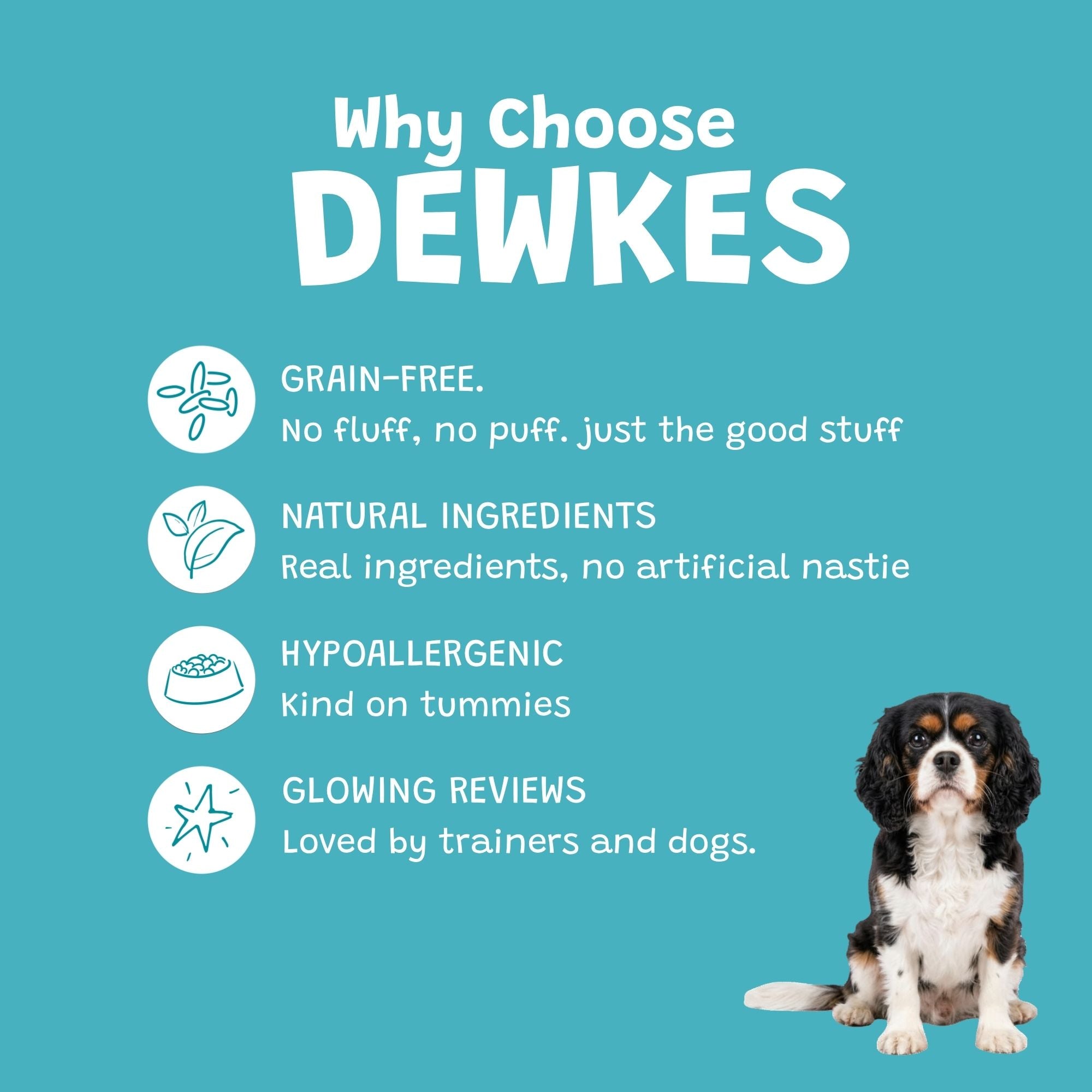 Fresh Breath Bites Dog Treats – Natural Dental Treats for Dogs