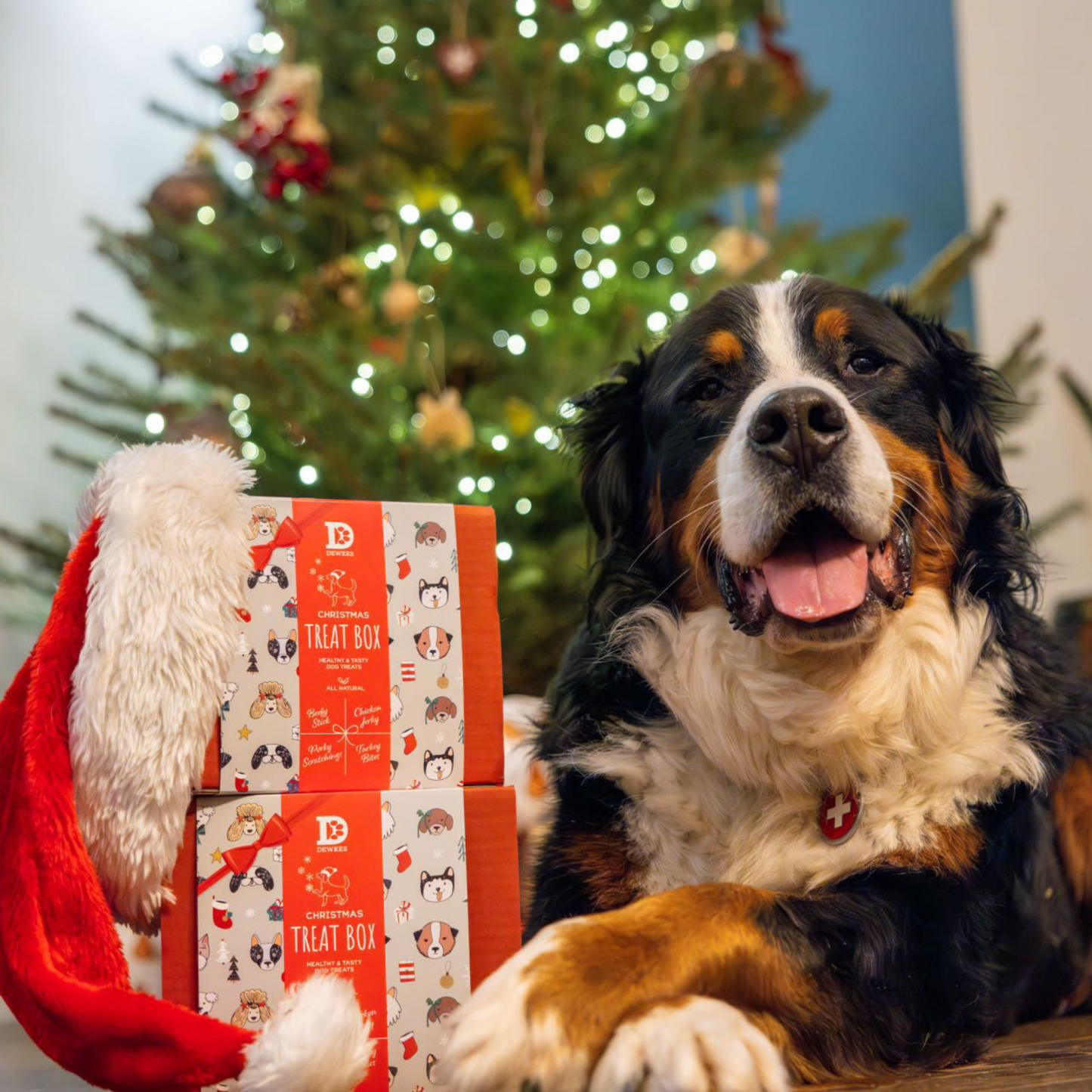 🎄Dewkes Christmas Dog Gift Box | The Ultimate Festive Treat For Your Furry Friend🎁🐾