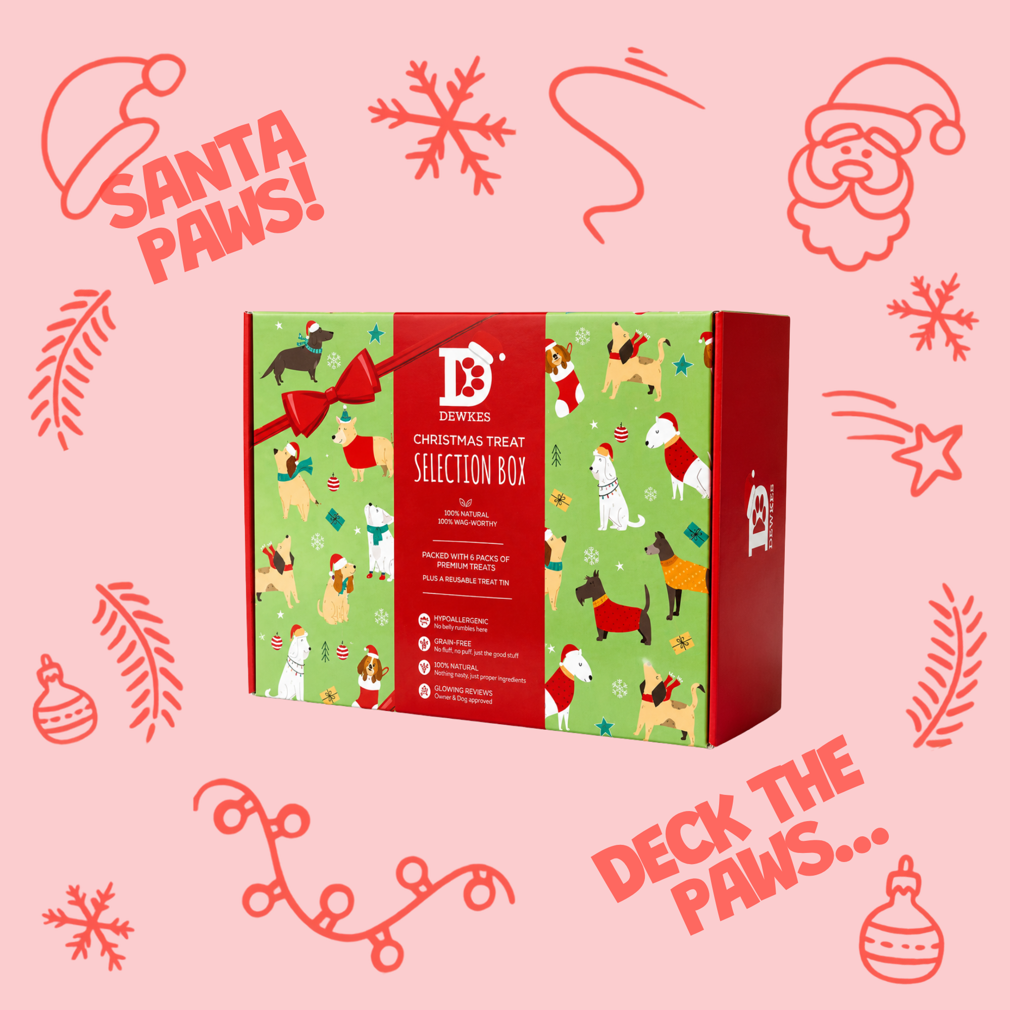 Christmas Dog Treat Gift Box