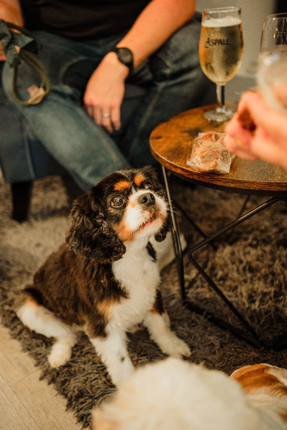 Pure Venison Training Treats (60g Tin)