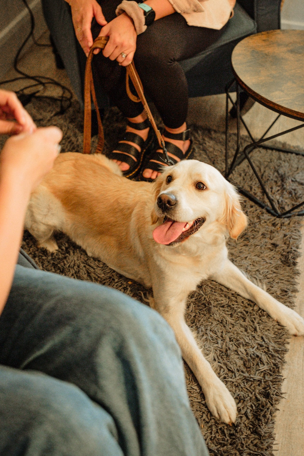 Dewkes Rabbit Training Treat Tin – 100% Natural, Grain-Free Dog Rewards
