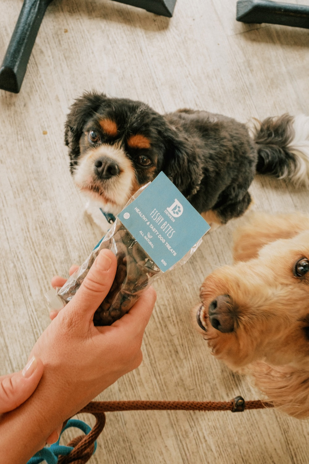 Natural Fishy Dog Treats – Dewkes Fishy Bites 400g | Dog Fishy Snacks