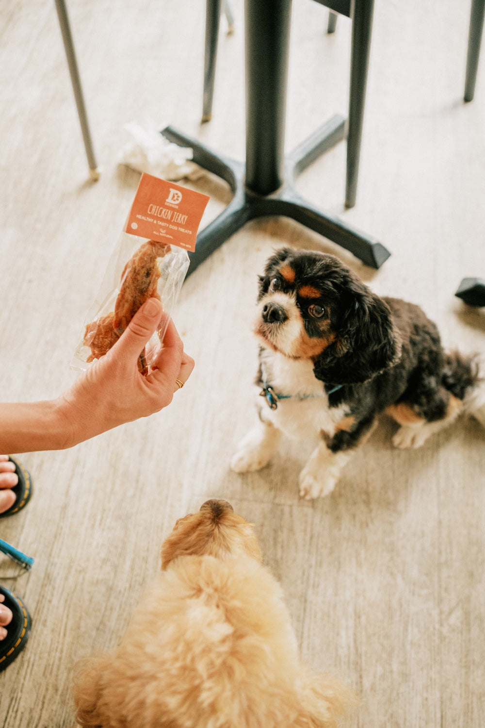 Chicken Jerky Dog Treats (240g)