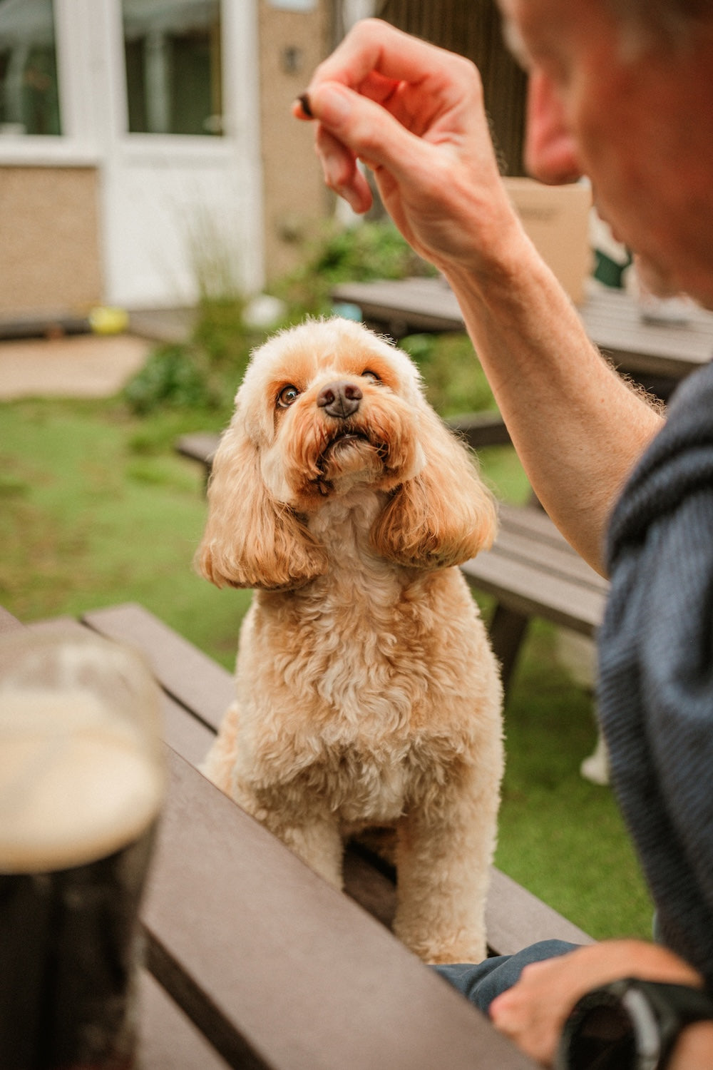 Pure Venison Training Treats (60g Tin)