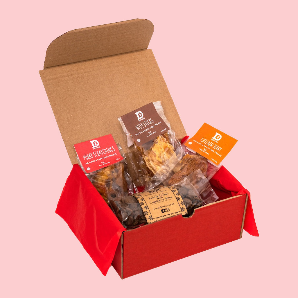 Christmas Dog Gift Box