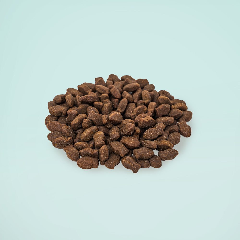 Fishy Bites Dog Treats (400g)