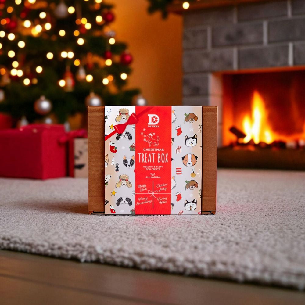 Christmas Dog Treat Gift Box