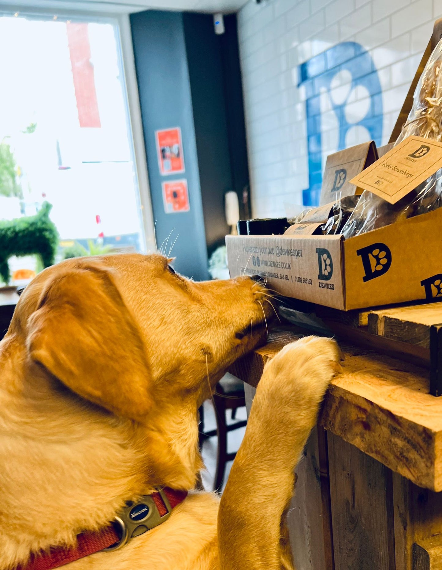 Dewkes Porky Scratchings – 100% Natural Pork Treats for Dogs