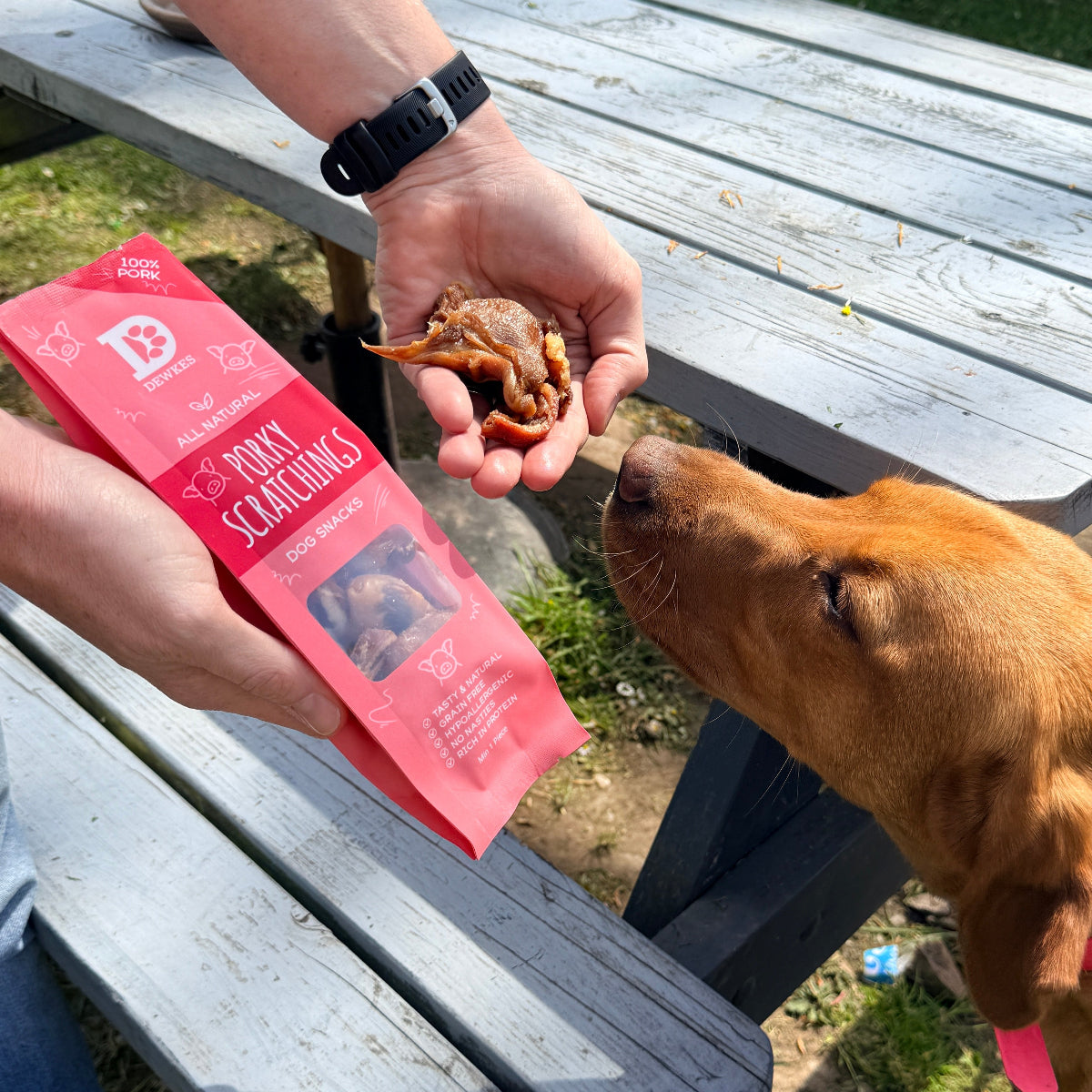 Porky Scratchings Dog Treats