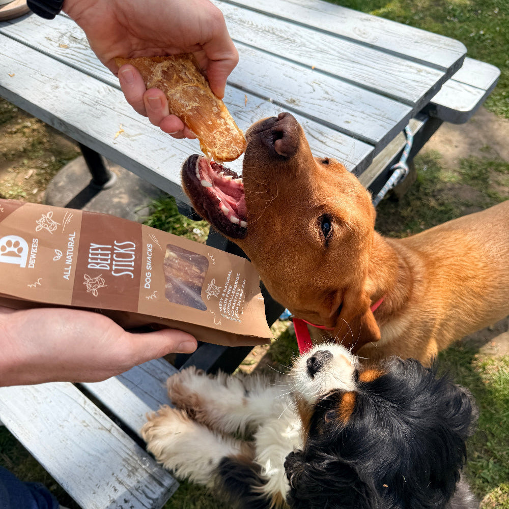 Beefy Sticks Dog Treats
