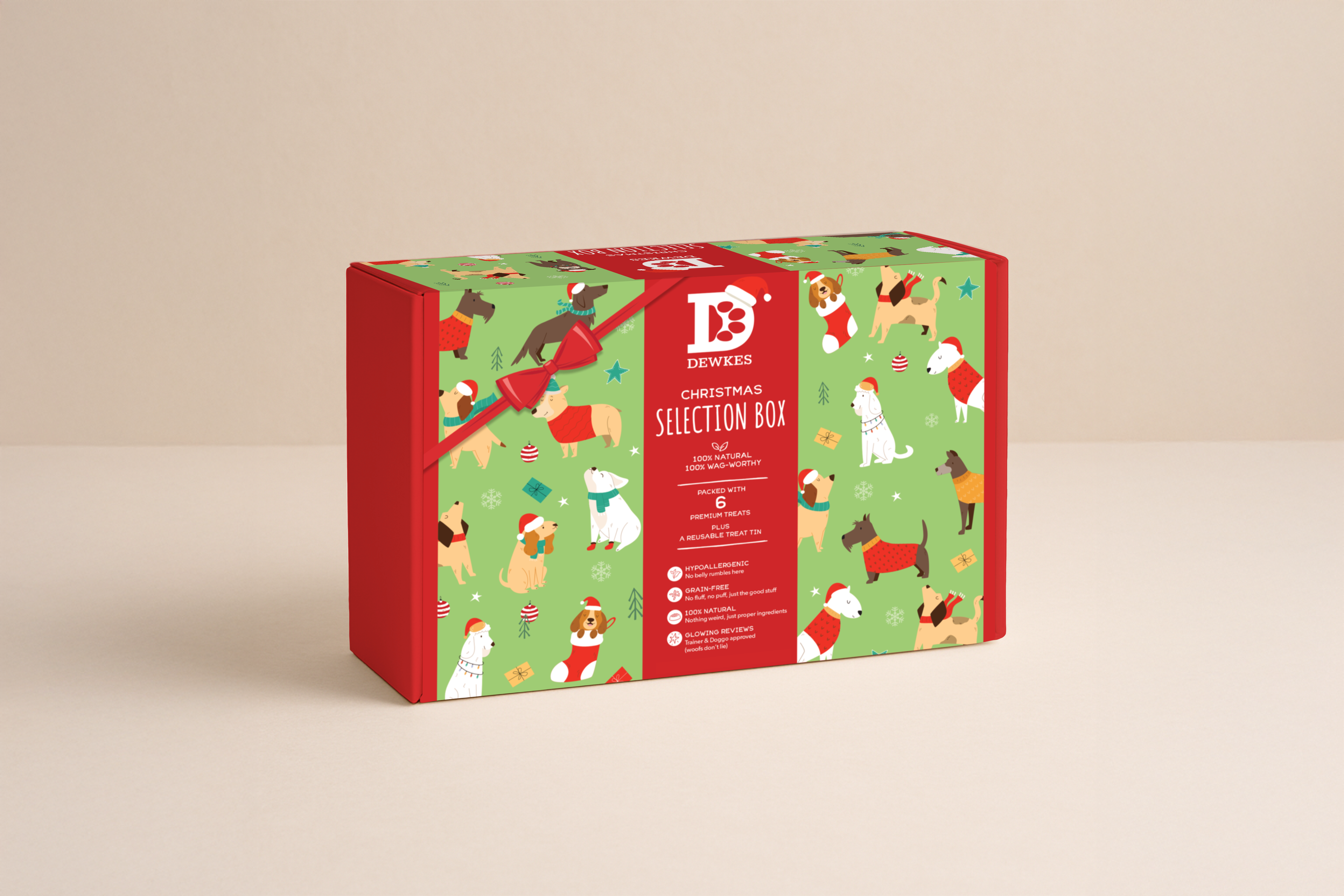 Christmas Dog Treat Gift Box