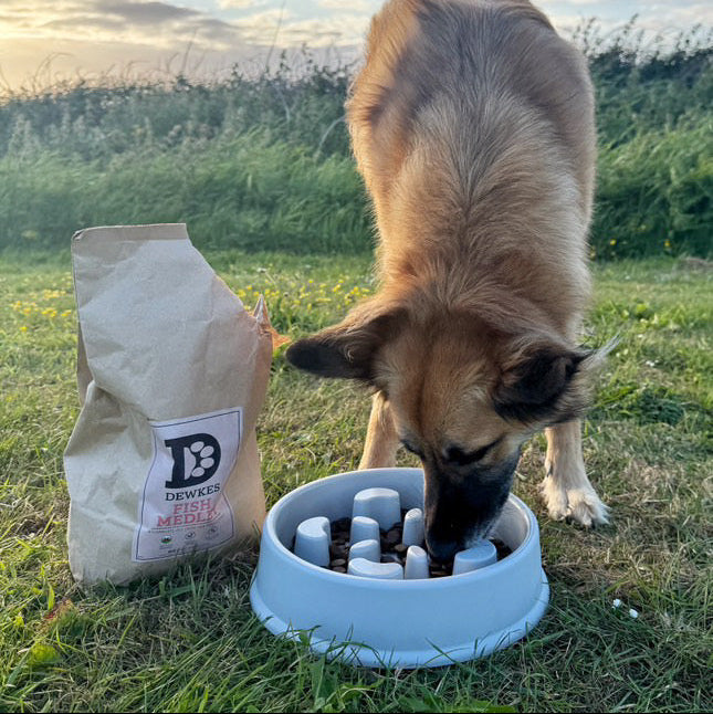Dog eating from a bowl with a bag of dog food labeled 'Dewkes' in an outdoor setting.