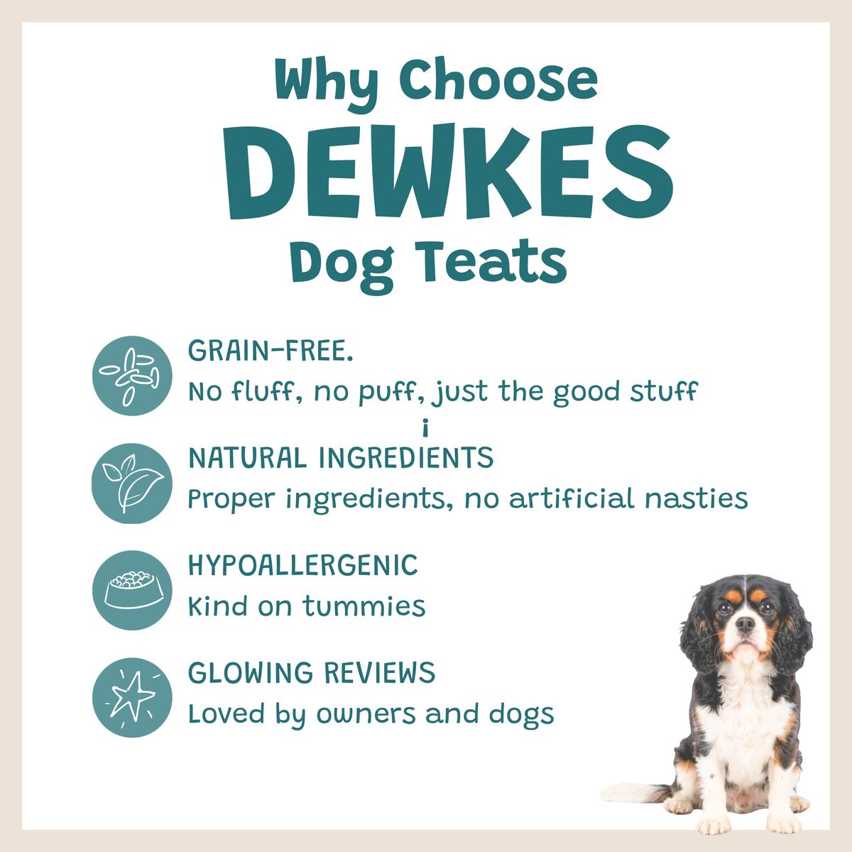 Dewkes Dry Dog Food Taster Pack Sample 100g