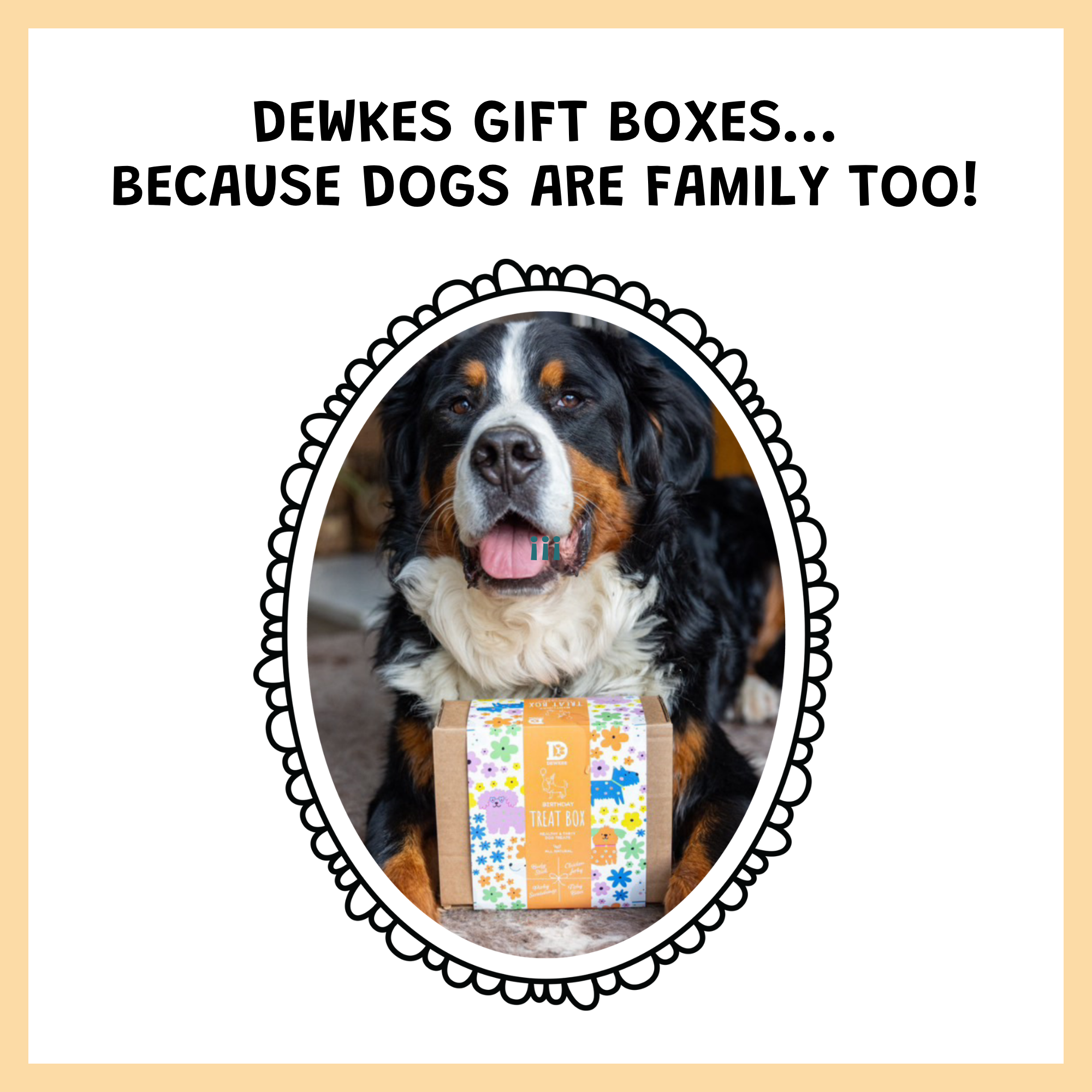 Birthday Dog Treat Gift Box