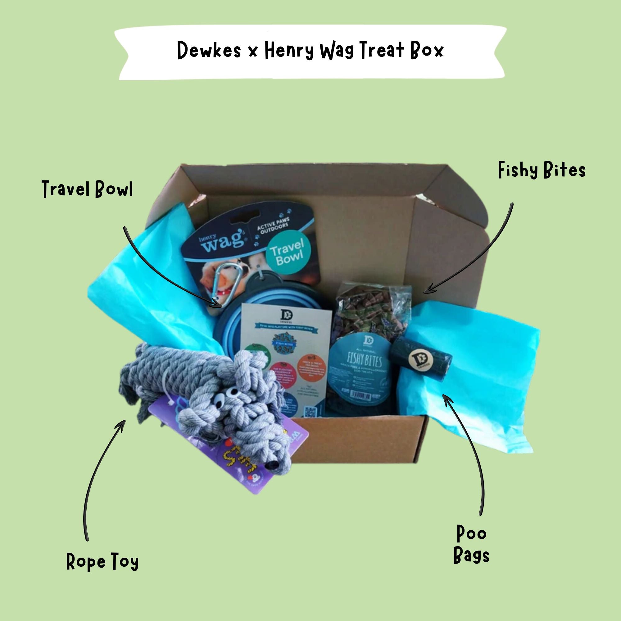 Dewkes and Henry Wag Adventure Treat Gift Box for Dogs | Dewkes