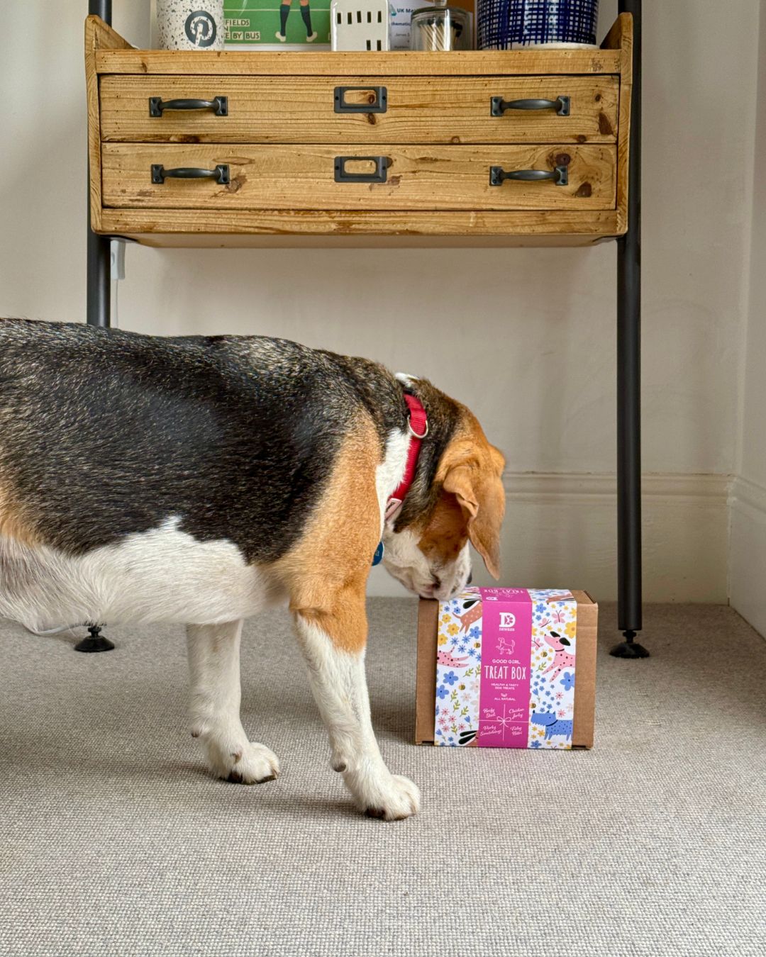 Dewkes Good Girl Treat Box – Natural Rewards for Healthy, Happy Dogs