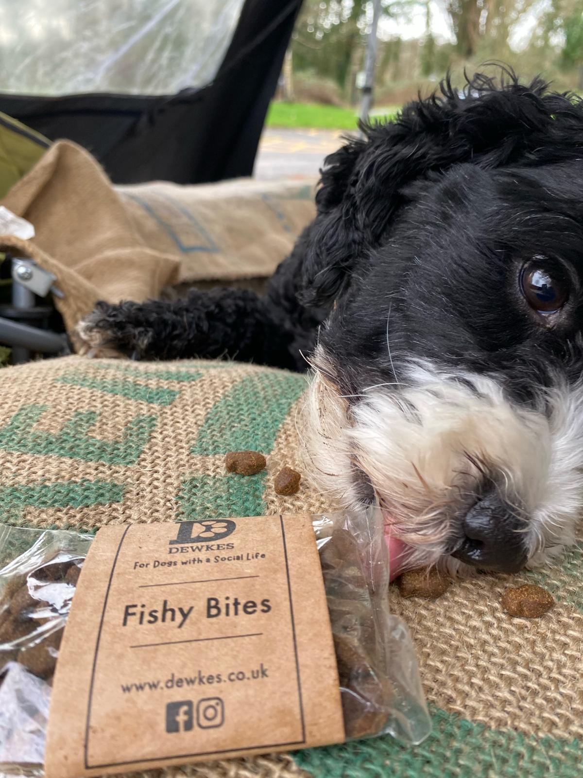 Natural Fishy Dog Treats – Dewkes Fishy Bites 400g | Dog Fishy Snacks