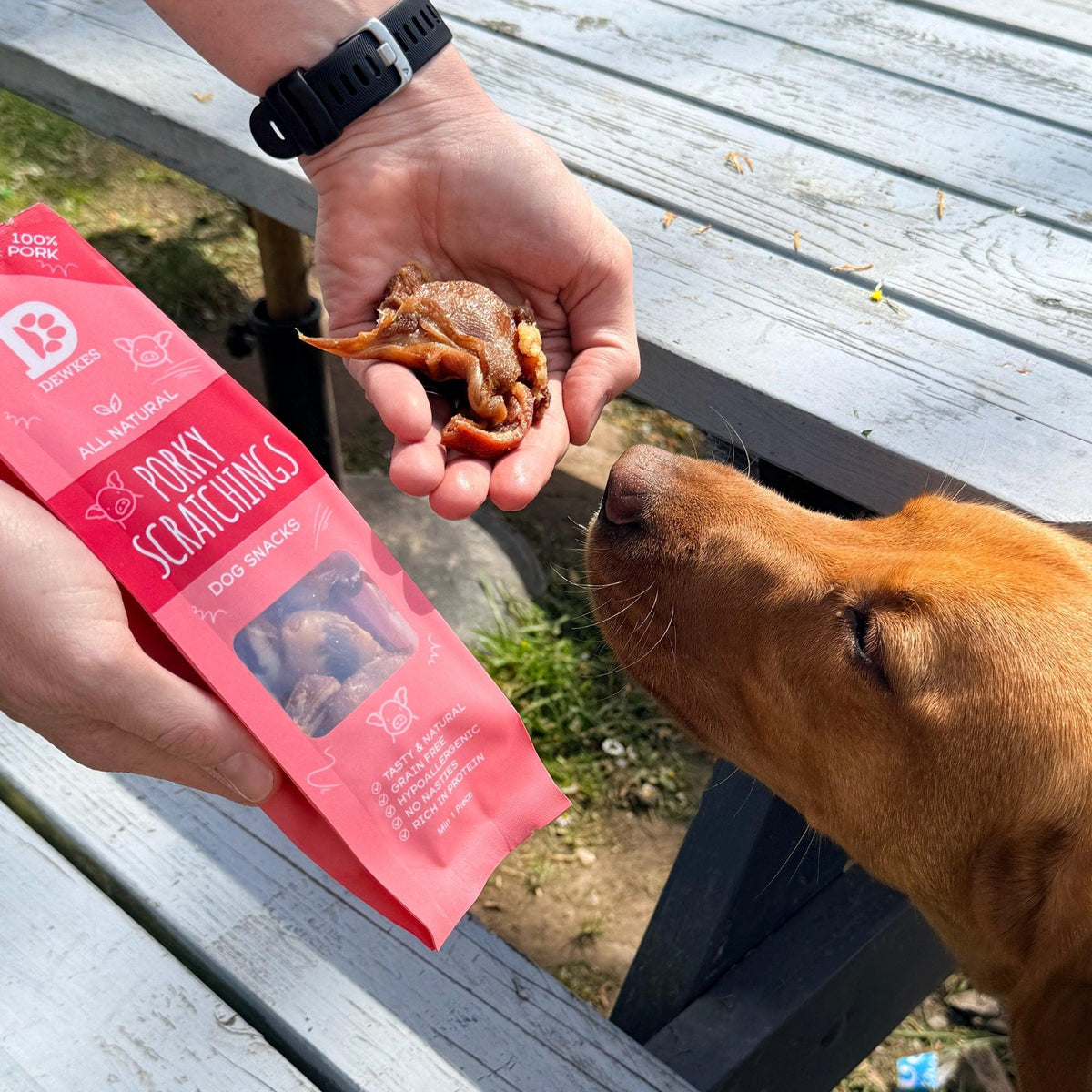 Porky Scratchings Dog Treats