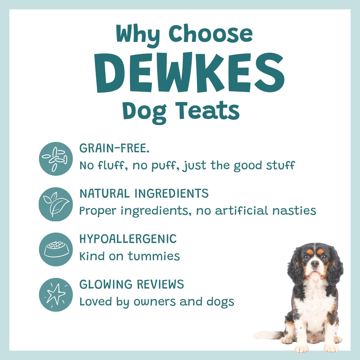 Good Boy Dog Treat Gift Box