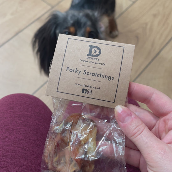 Pork Scratchings - Natural - Grain Free - Long Lasting
